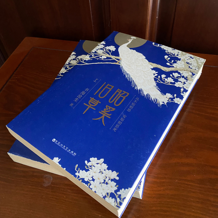 昭奚旧草 全两册 书海沧生 著