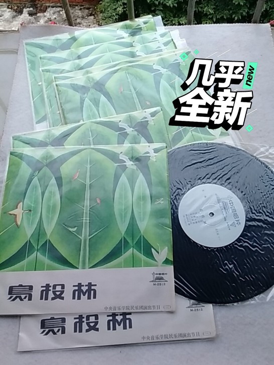 民族音乐LP～鸟投林～旱天雷～高胡扬琴古筝...