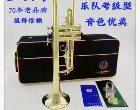 全新星海小号降B调学生成人初学者通用小号乐...