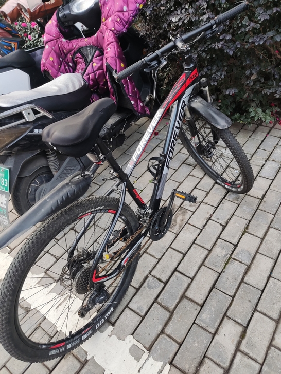 永久自行车，骑了4-5个月换电动车骑了，油...