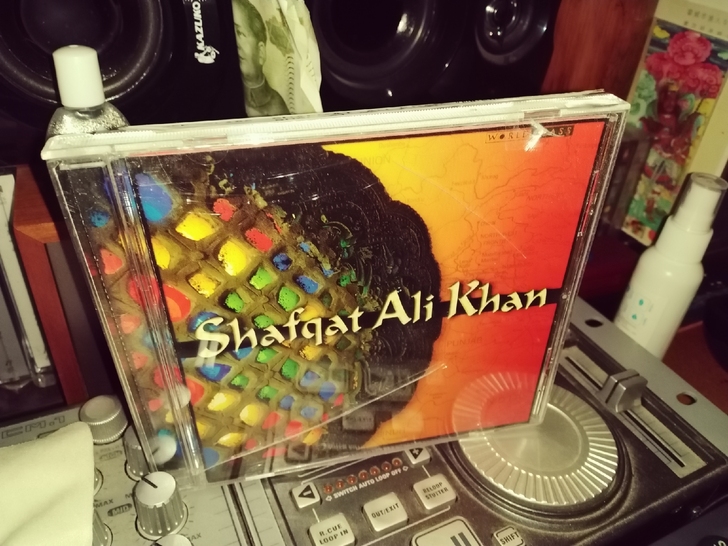 新派巴基斯坦民族音乐 Ali Khan 欧...