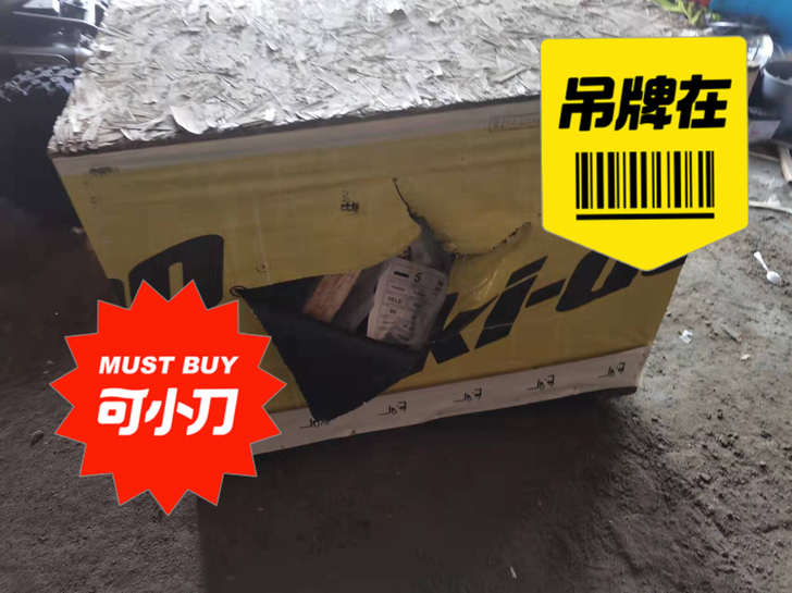 因为疫情原因场地关闭。现出售全新庞巴迪雪地...