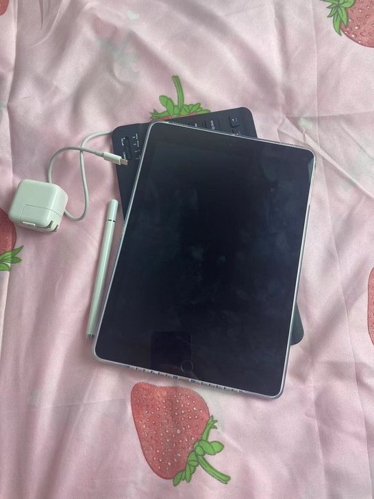 网课画画ipad苹果平板 女大学生闲置个人...