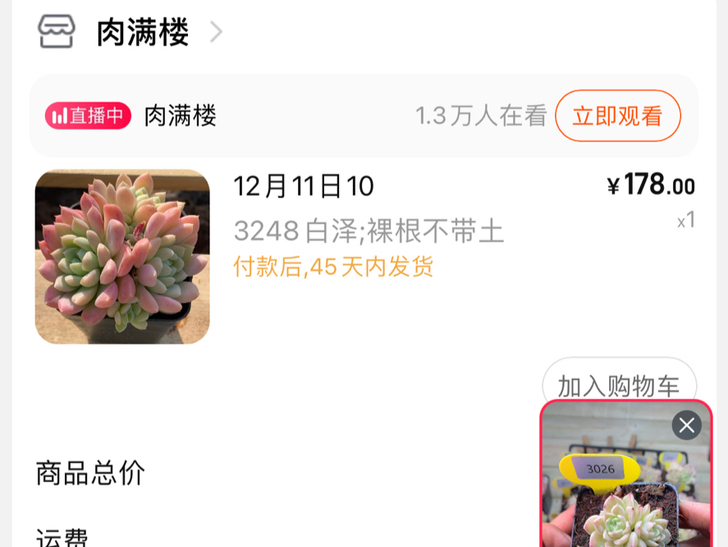 出白天鹅、奶油玫瑰！代拍肉满楼多肉 旺仔 ...