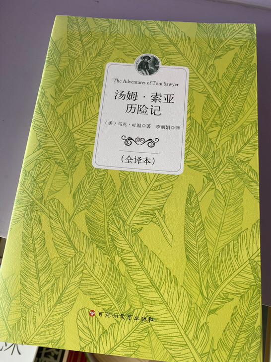 汤姆索亚历险记