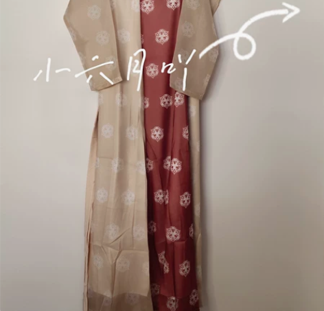 裳云兮【长歌行】原创唐风复原齐胸汉服女一片...