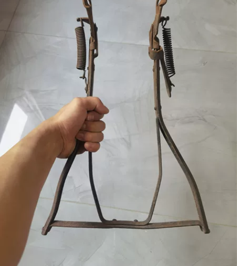 65年的飞鸽62型自行车梯 板不板正自己看...