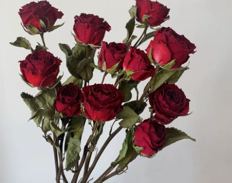 玫瑰花干花花束天然真花相框diy花材客厅家...