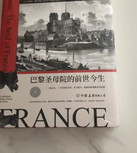 【全新正版】法国之魂:巴黎圣母院的前世今生...