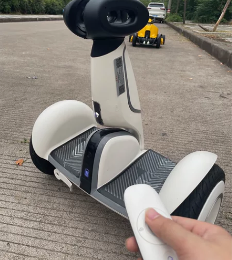 小米Ninebot九号plus平衡车小九电...