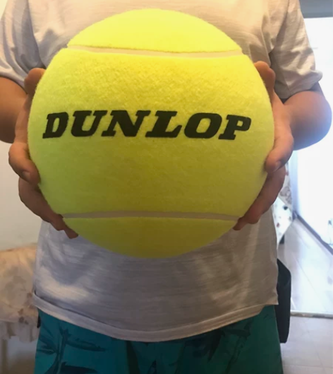 邓禄普登录普DUNLOP大号纪念签名网球 ...