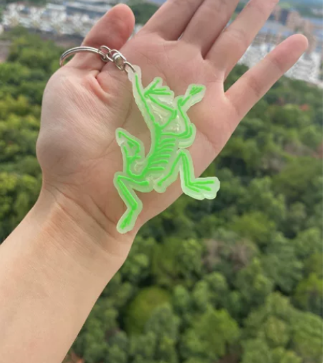 始  祖 鸟夜光钥匙扣 朋友送的，自己留了...