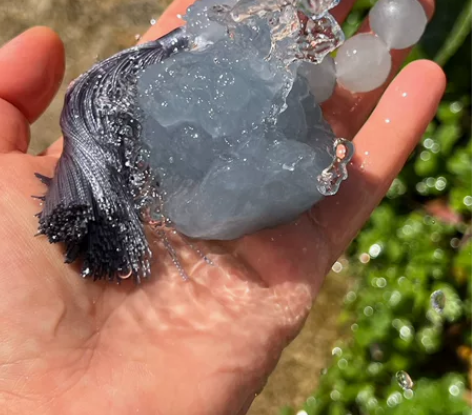 超爆闪天青冻醒狮，卡42左右，全品无瑕，未...