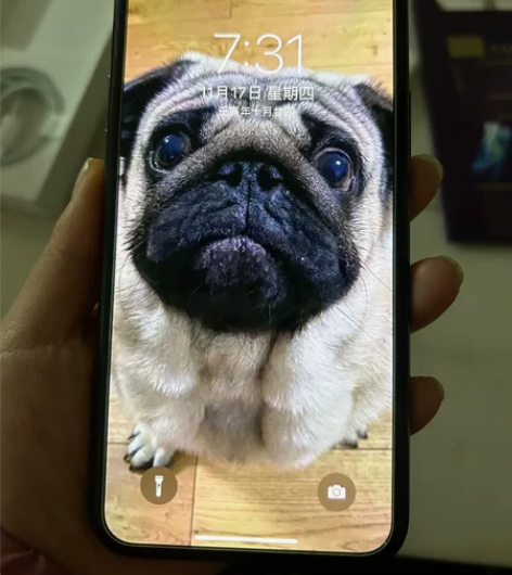 Apple/苹果 iPhone 11 pr...