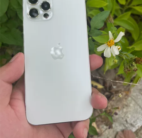 出售 98新12Pro 256G走平台 i...