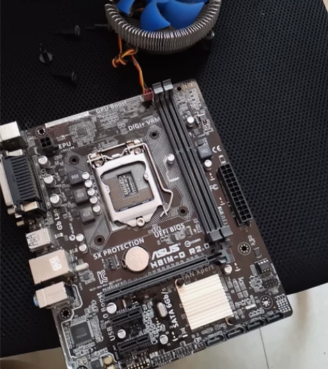 适用一年Asus/华硕 H81M-D K/...