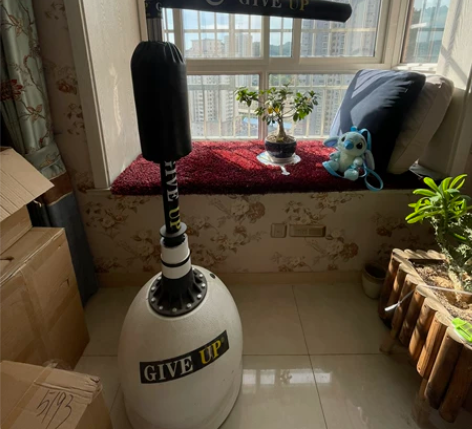 拳击反应靶，老公买来后几乎就是闲置，100...