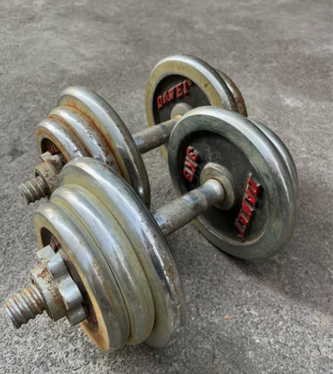 12公斤*2闲置哑铃转让 感兴趣的话点“我...