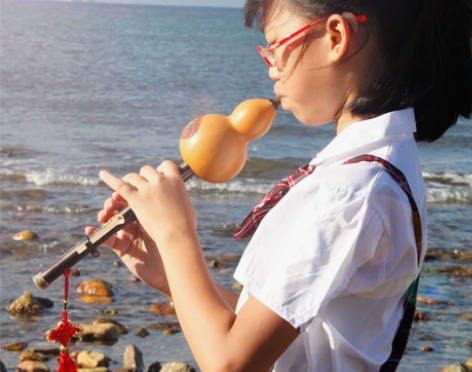 葫芦丝乐器初学者降B调C调天然紫竹自学专业...