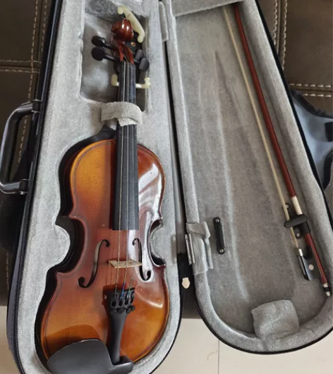 初学者用小提琴，550元购于琴行，200元...