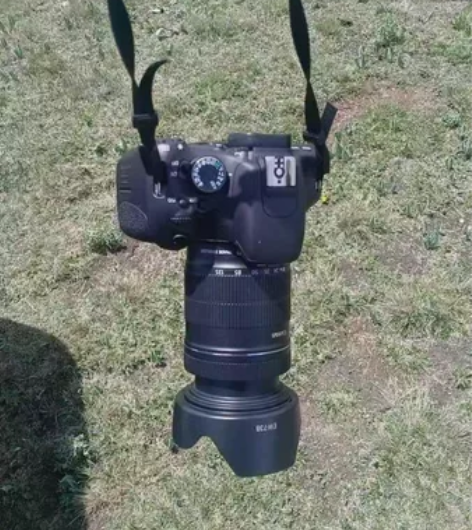 佳能600D单反相机 入门摄影风光 人像 ...