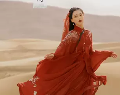 |司南阁| 明制汉服原创立领衫 绣花款——...