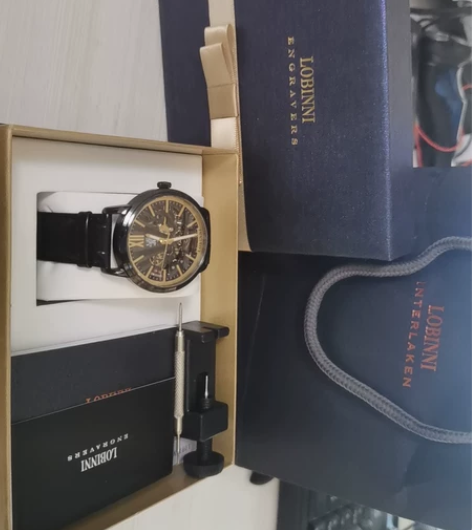 自用手表，LOBINNI罗宾尼 黑武士 感...