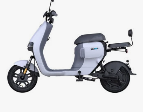 Ninebot九号电动锦鲤A30C+电动自...