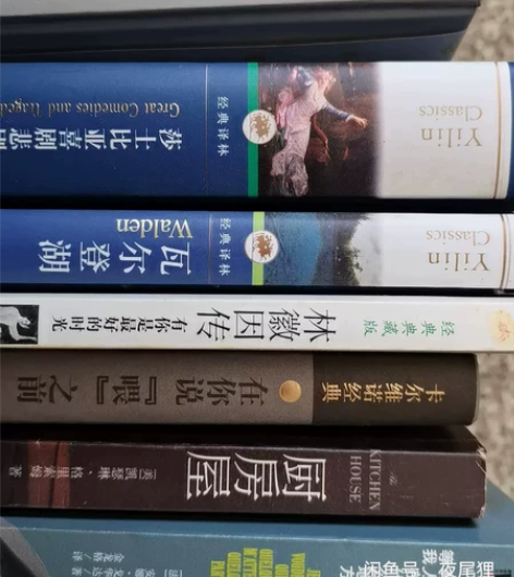 二手书外国名著、青春文学、言情小说出售，保...