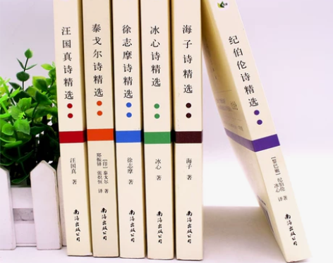 正版现代诗集全6册 汪国真诗集海子徐志摩冰...