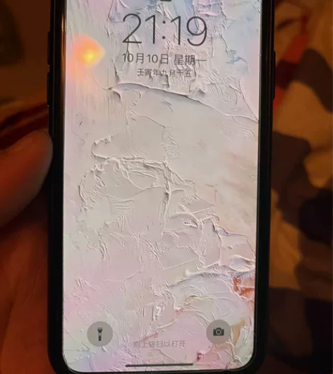 自用iphoneX，原装到每颗螺丝，无拆无...