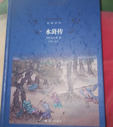 九上译林出版社暑假推荐阅读《水浒传》羊刚注...