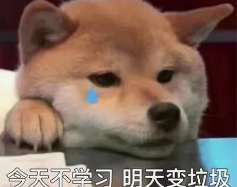 留学生计算机CS编程辅导答疑 C语言 C+...