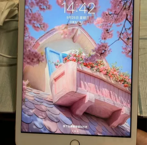 个人一手闲置iPad mini4 64g平...