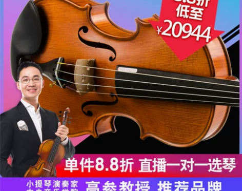 克莉丝蒂娜EU5000D欧洲原装进口小提琴...