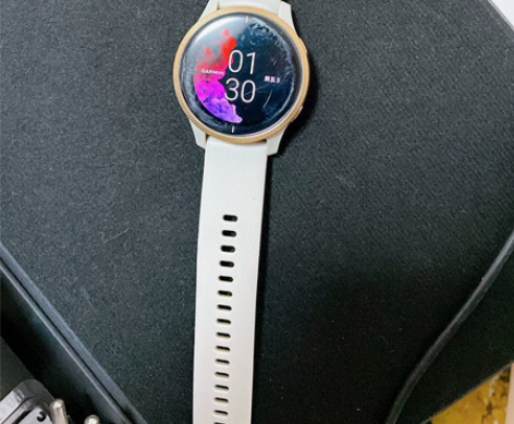 佳明（Garmin ）户外手表，Venu ...