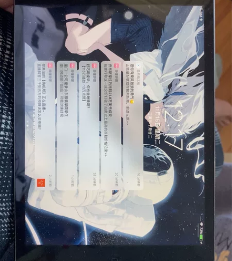 iPad mini2，16个，插卡版，ho...