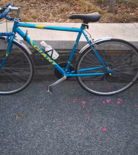 捷安特公路车GIANT钢架公路车公路赛车变...