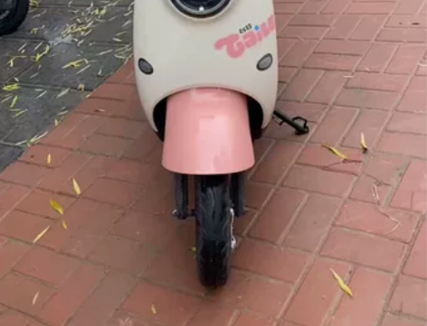 台铃电动车电车电瓶车,车子是十月初我和媳妇...