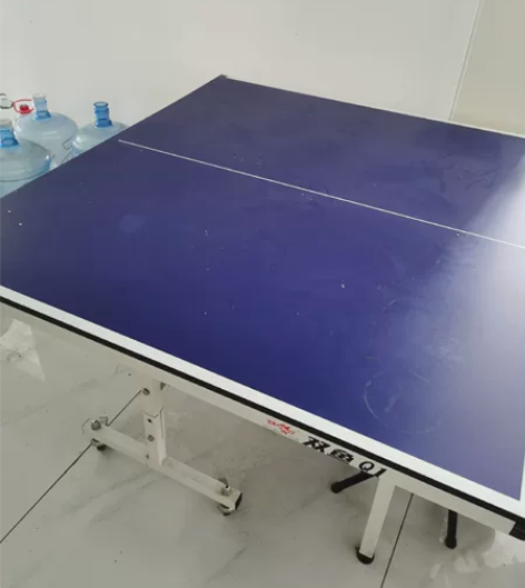 双鱼品牌家用乒乓球台，九成新 感兴趣的话点...