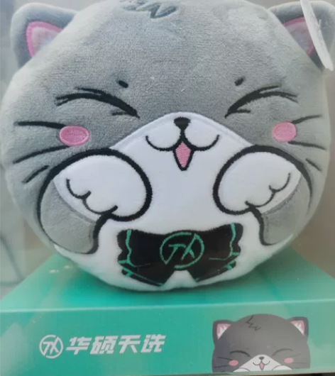 华硕天选猫老师颈枕 全新 感兴趣的话点“...