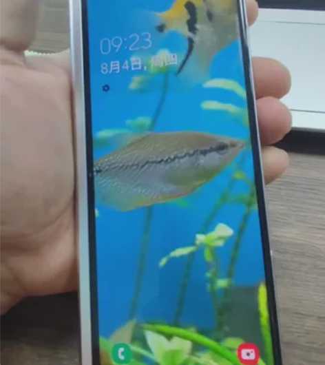 三星fold3银色港行12+512G，20...