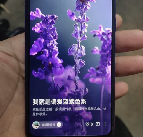 OPPOR 15x 原装正品 原装屏幕外观...