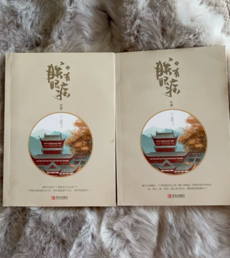 朕有眼疾 小说 已拆封 无折痕 无封面硬纸...
