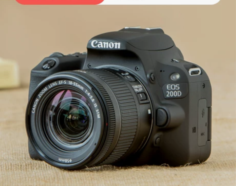 Canon/佳能 EOS 200D 蚂蚁摄...