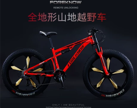 ?山地自行车越野车沙滩雪地车4.0大轮胎变...