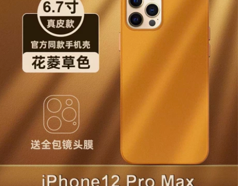 真皮【MagSafe皮革保护壳】冰感苹果1...