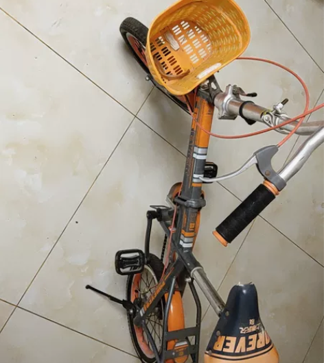 上海永久折叠自行车，铝合金轮，轮胎花纹非常...