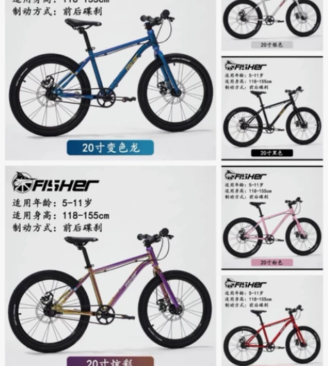 飞鱼儿童自行车皮带车 普瑞玛 earlyr...