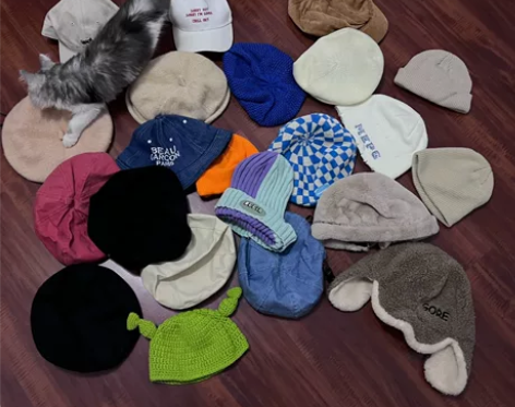 闲置帽子，仅拍照。有贝雷帽、雷锋帽、云朵帽...
